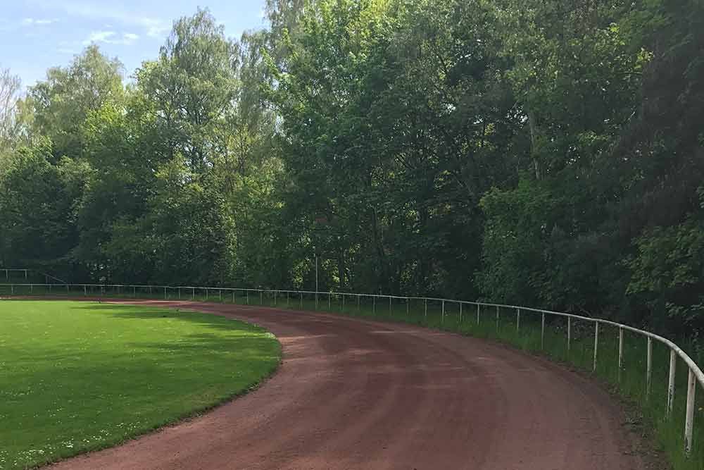 Ein Feldweg, umgeben von Bäumen und Gras an einem sonnigen Tag.