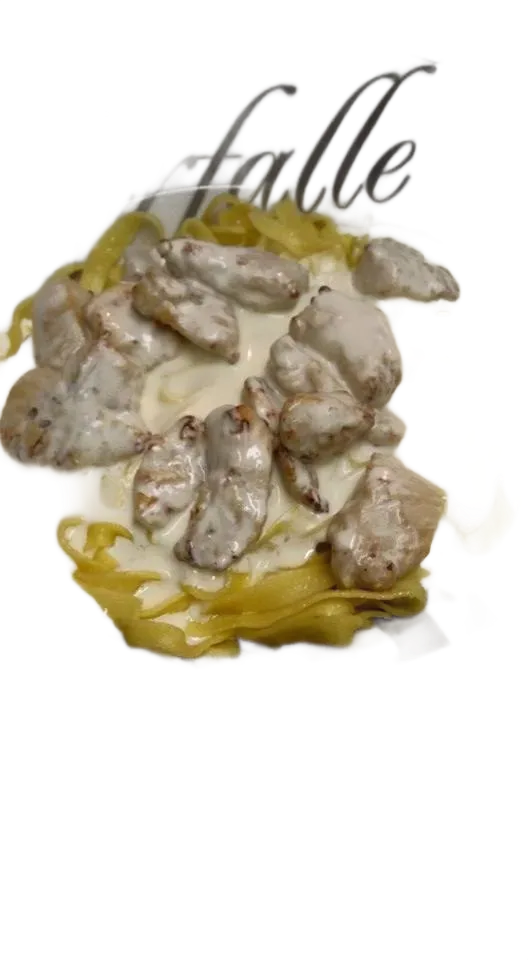 Morceaux de poulet en sauce crémeuse servis sur des pâtes.