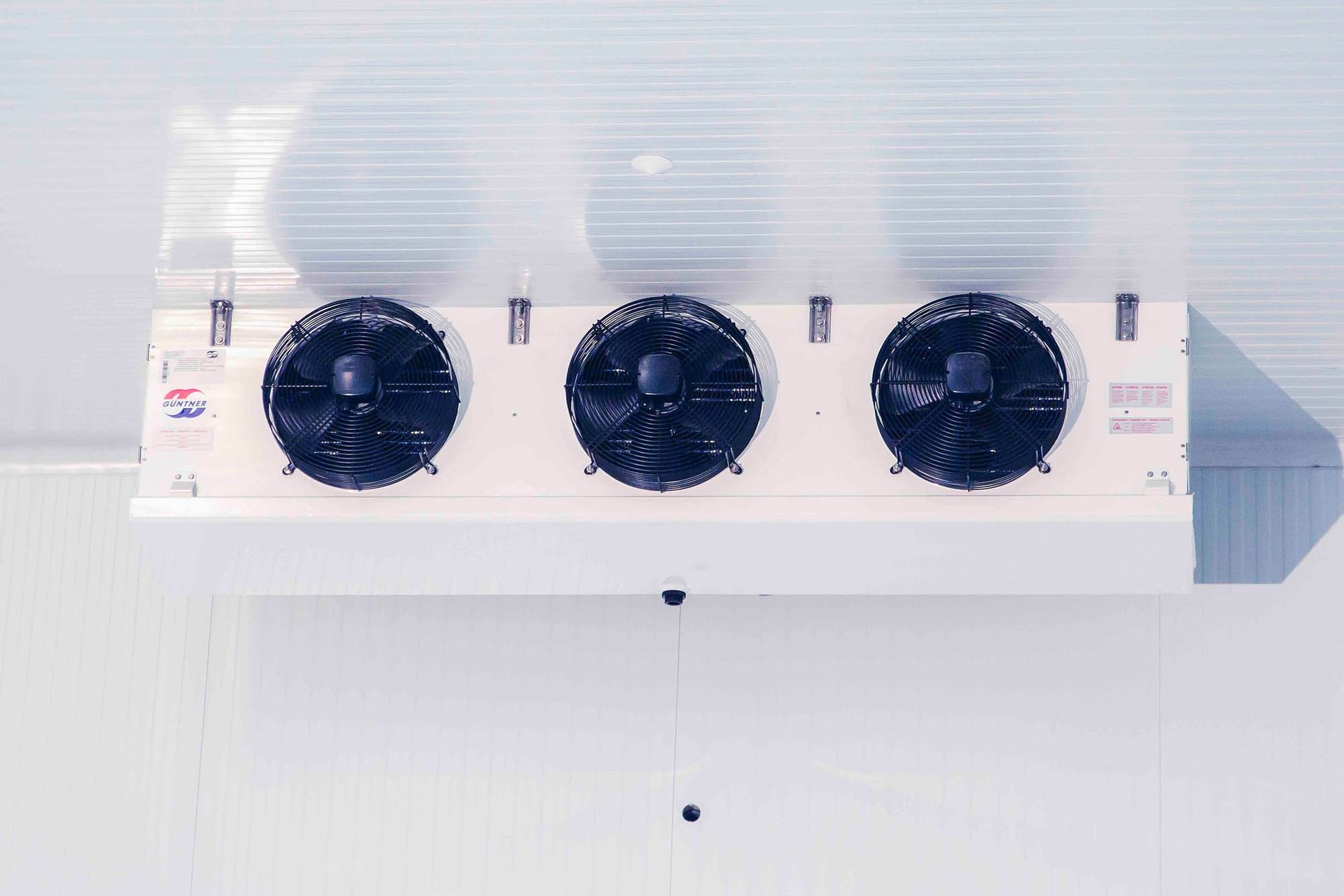 Unidad de refrigeración evaporativa industrial con tres ventiladores negros montada en un techo blanco en una cámara frigorífica.