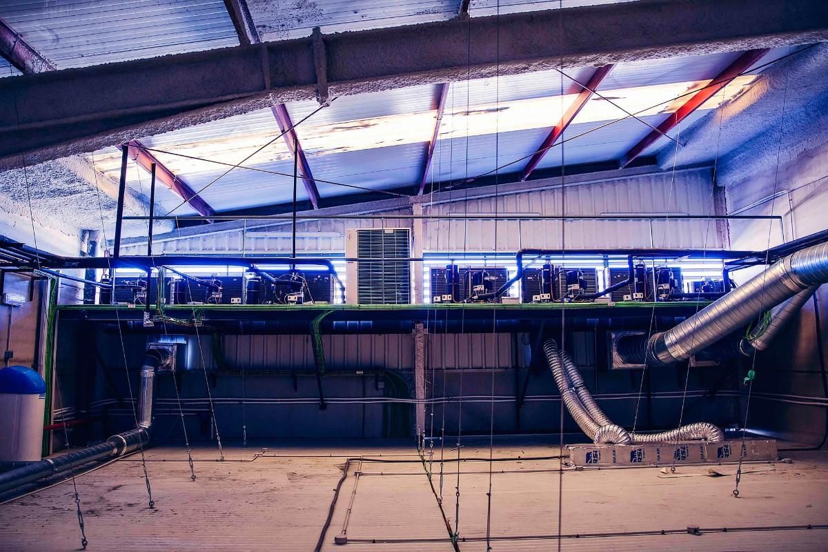 Un amplio espacio industrial con complejas tuberías aéreas, unidades de climatización sobre una plataforma metálica y suelo de hormigón.