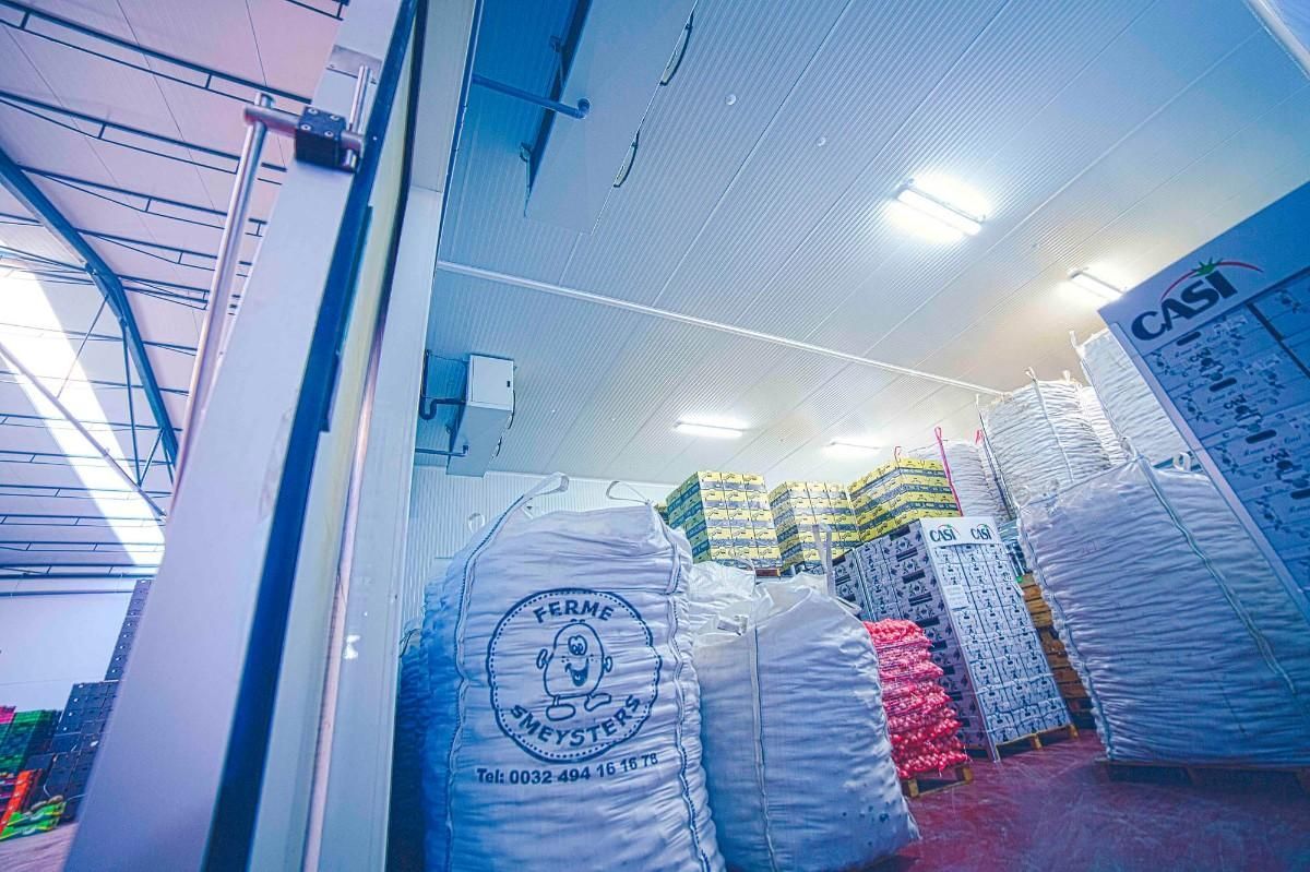 Grandes bolsas de almacenamiento blancas y pilas de cajas en el interior de un almacén industrial luminoso o una cámara frigorífica.