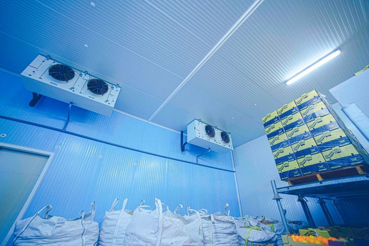 Cámara frigorífica industrial con paredes aislantes azules, dos evaporadores montados en el techo, palés apilados y bolsas blancas.