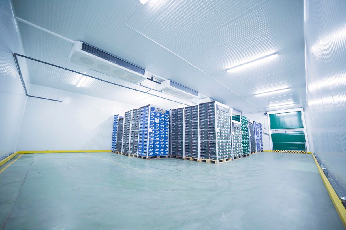 Un espacioso almacén frigorífico con pilas de cajas azules y negras sobre palés, iluminado por luces brillantes en el techo.