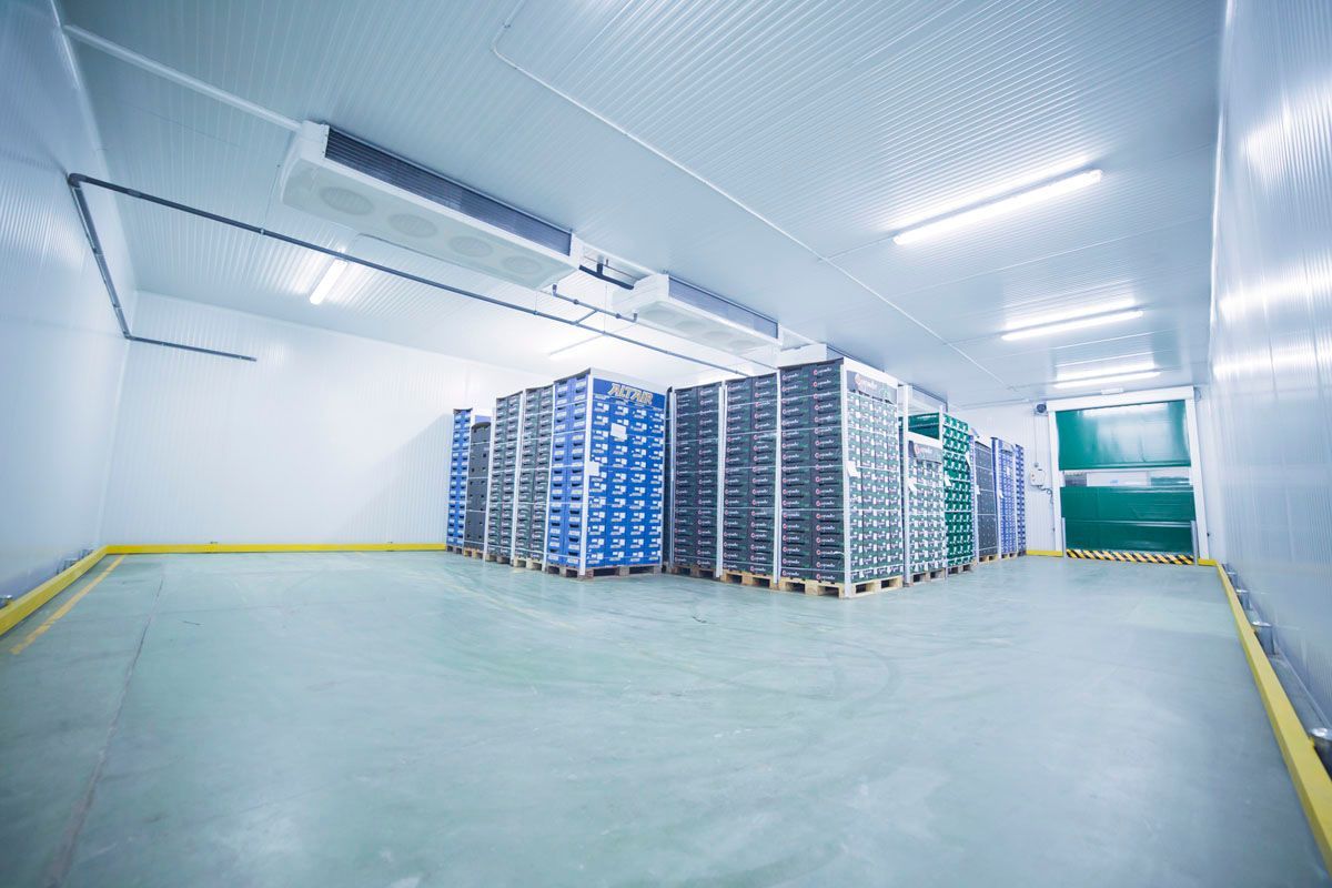 Gran almacén frigorífico con pilas de cajas azules y negras sobre palés, iluminación brillante y puertas dobles verdes.