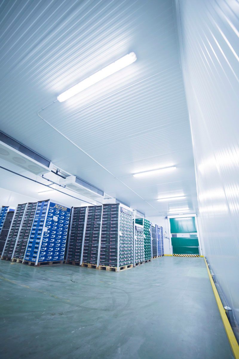 Montones de cajas almacenadas en palés de madera en una gran cámara frigorífica comercial bien iluminada.