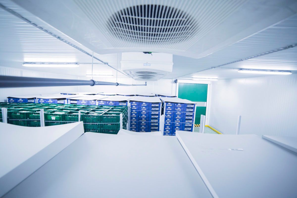 Una cámara frigorífica comercial a la que se puede acceder caminando, con paneles aislantes blancos, luces brillantes y pilas de cajas azules y verdes.