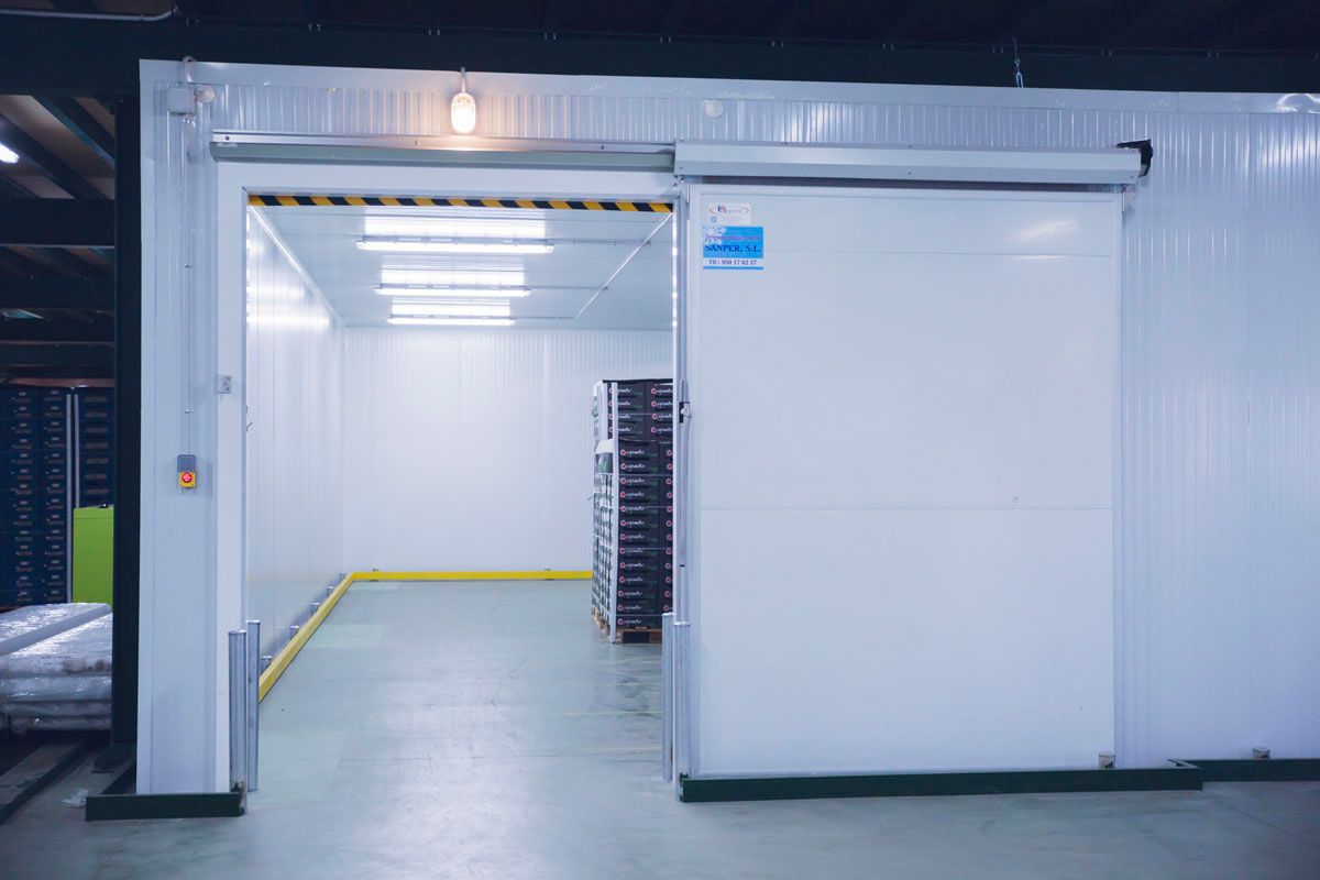 Una cámara frigorífica industrial blanca con una puerta corredera parcialmente abierta, que deja ver una pila de productos en el interior de una habitación luminosa.