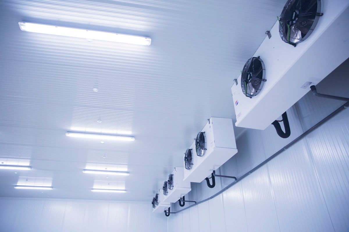 Techo blanco de una cámara frigorífica industrial con varias unidades de ventilación y paneles de luz LED instalados.