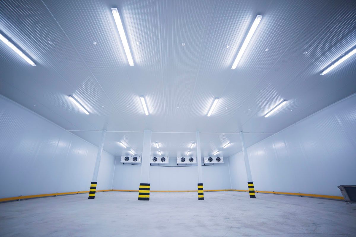 Una cámara frigorífica industrial vacía y aséptica, con paredes blancas, luces en el techo y pilares de soporte con topes amarillos.