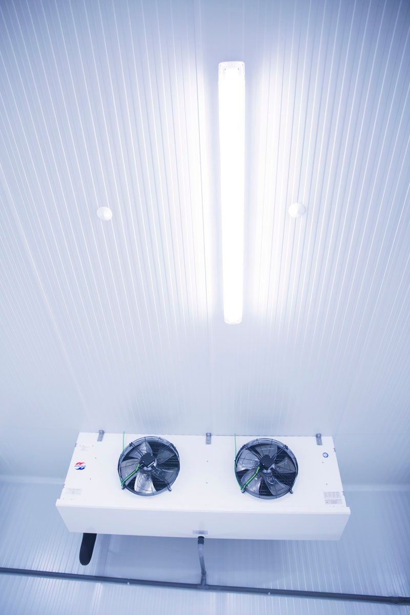 Una unidad de refrigeración comercial con dos ventiladores montada sobre una pared blanca ondulada, debajo de una luz fluorescente larga y brillante.