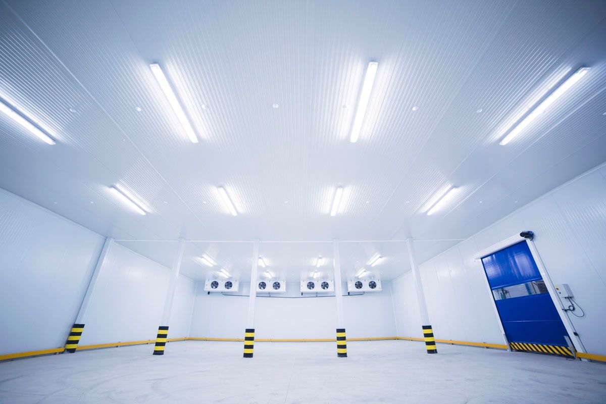 Cámara frigorífica vacía, con paredes blancas, luces brillantes en el techo y una puerta azul.