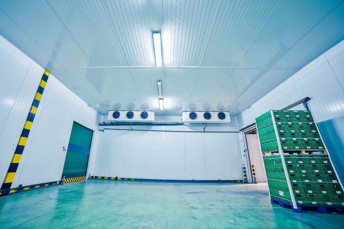 Cámara frigorífica industrial con paredes blancas, puerta color turquesa y una pila de cajas de plástico verdes sobre un palé.