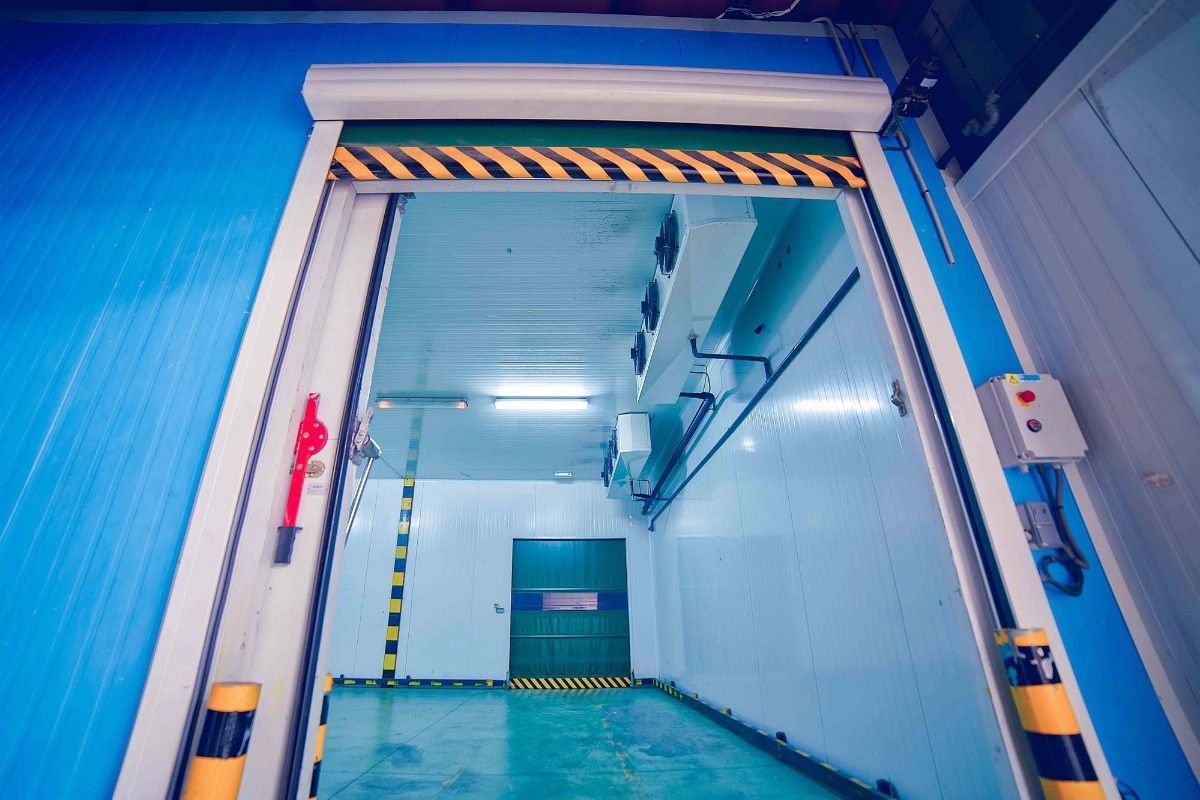 Una puerta enrollable de alta velocidad abierta deja ver una cámara frigorífica industrial vacía y muy iluminada, con paredes y suelo azules.