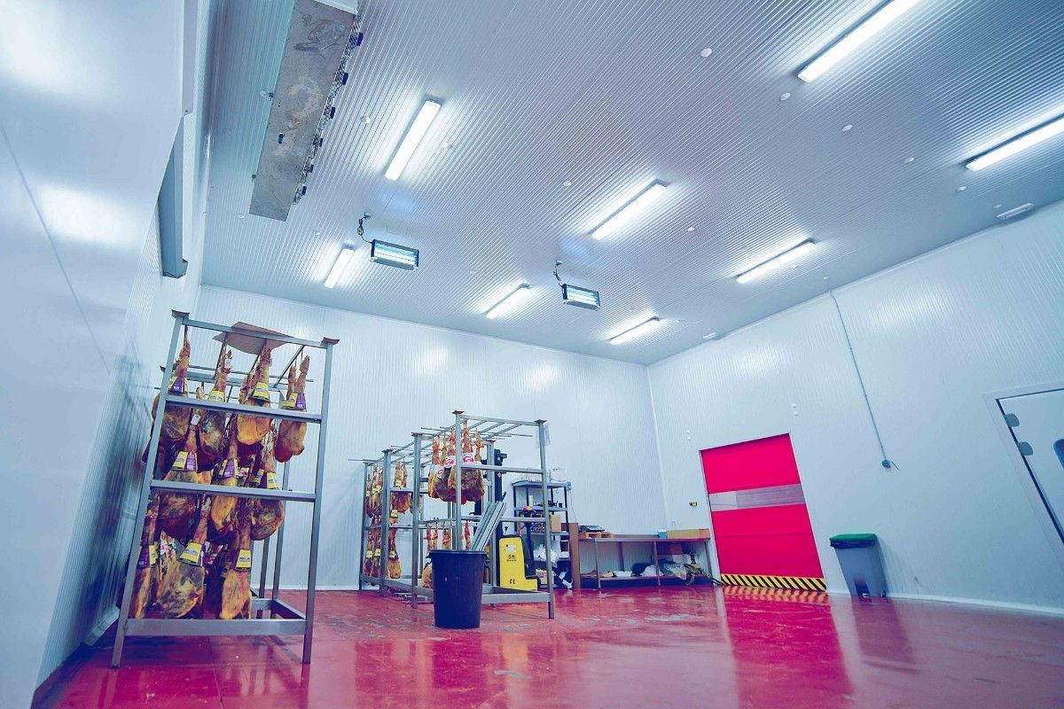 Amplia cámara frigorífica con jamones curados colgados en estantes metálicos, suelo rojo e iluminación industrial brillante.