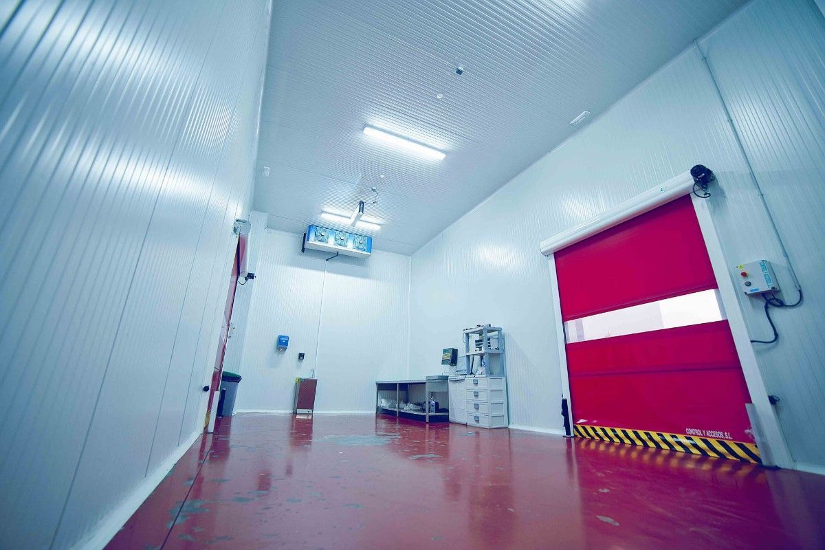 Una cámara frigorífica industrial y aséptica, con paredes blancas, una puerta enrollable roja y un suelo liso y reflectante de color rojo.