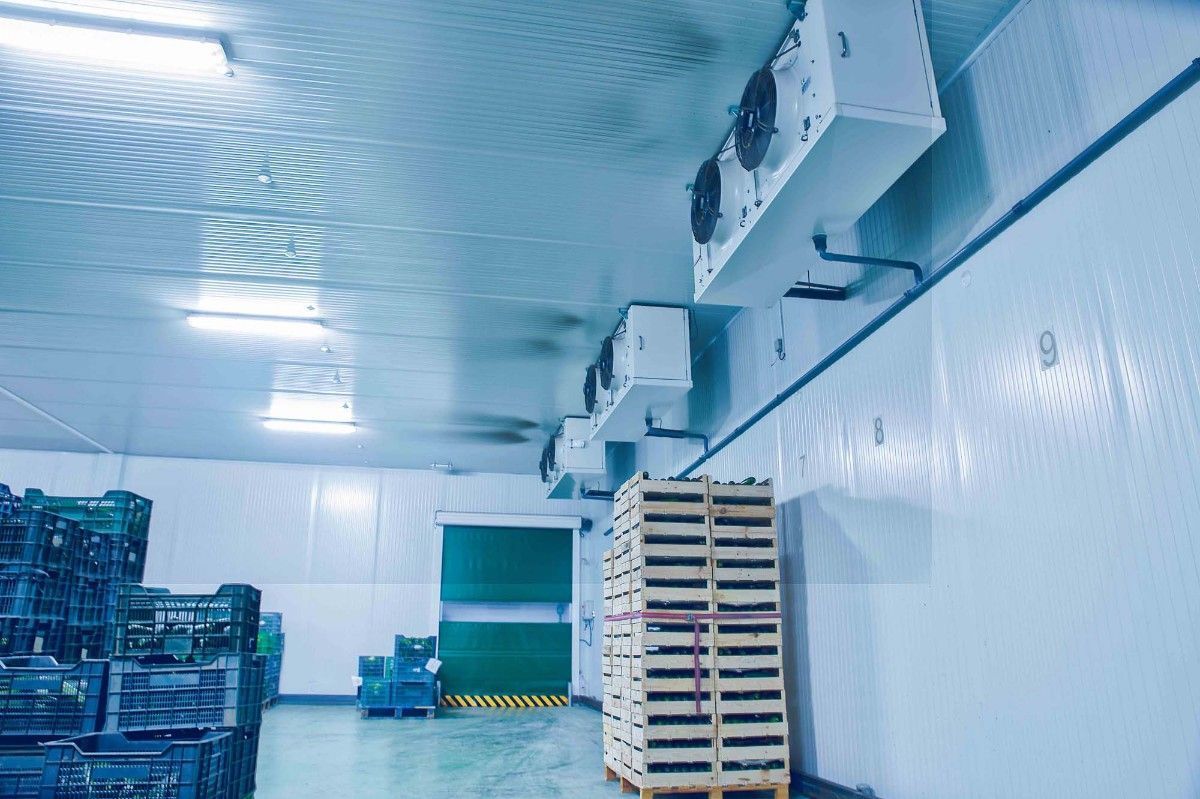 Instalación industrial de almacenamiento en frío con unidades de refrigeración superiores, paredes blancas, cajas apiladas y una puerta verde cerrada.