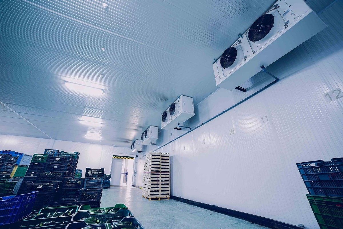 Interior de un almacén frigorífico con filas de ventiladores industriales en el techo y cajas de productos apiladas.