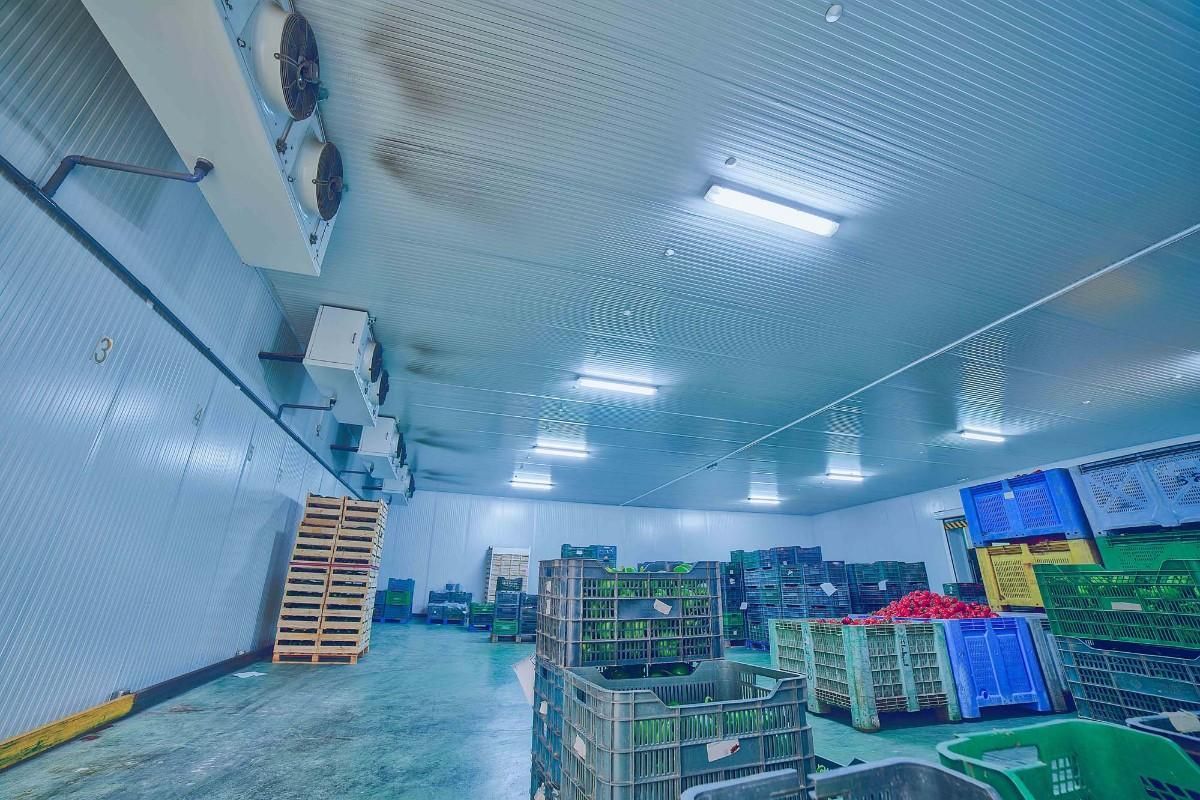 Un almacén frigorífico con pilas de cajas de plástico llenas de productos, bajo una brillante iluminación cenital.