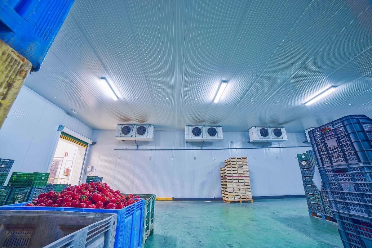 Cámara frigorífica industrial con cajas de productos rojos, iluminación fluorescente en el techo y unidades de refrigeración montadas en la pared.