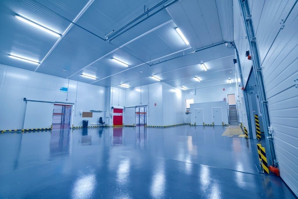 Una cámara frigorífica industrial vacía y espaciosa, con paredes blancas, suelo azul pulido e iluminación brillante en el techo.