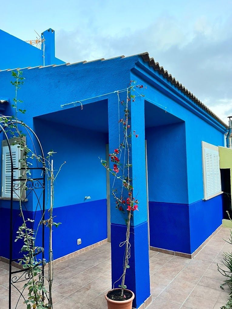 Una casa azul con una planta en maceta delante de ella.