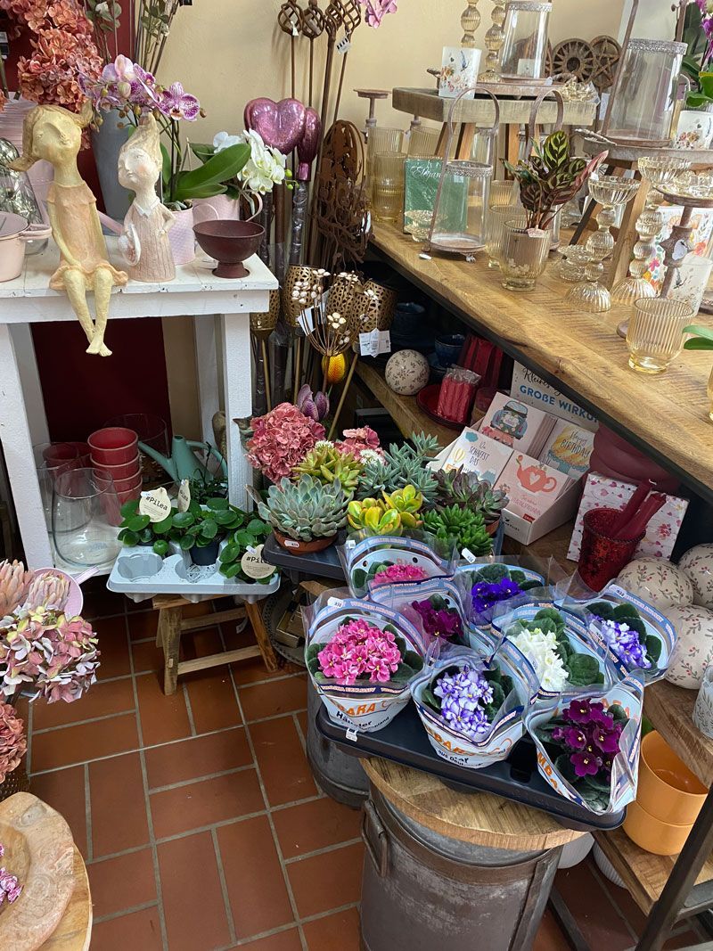 Ein Raum voller Topfpflanzen und Blumen.