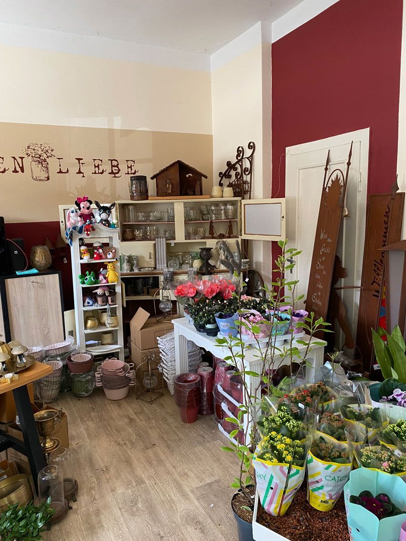 Ein Raum voller Topfpflanzen und Blumen.