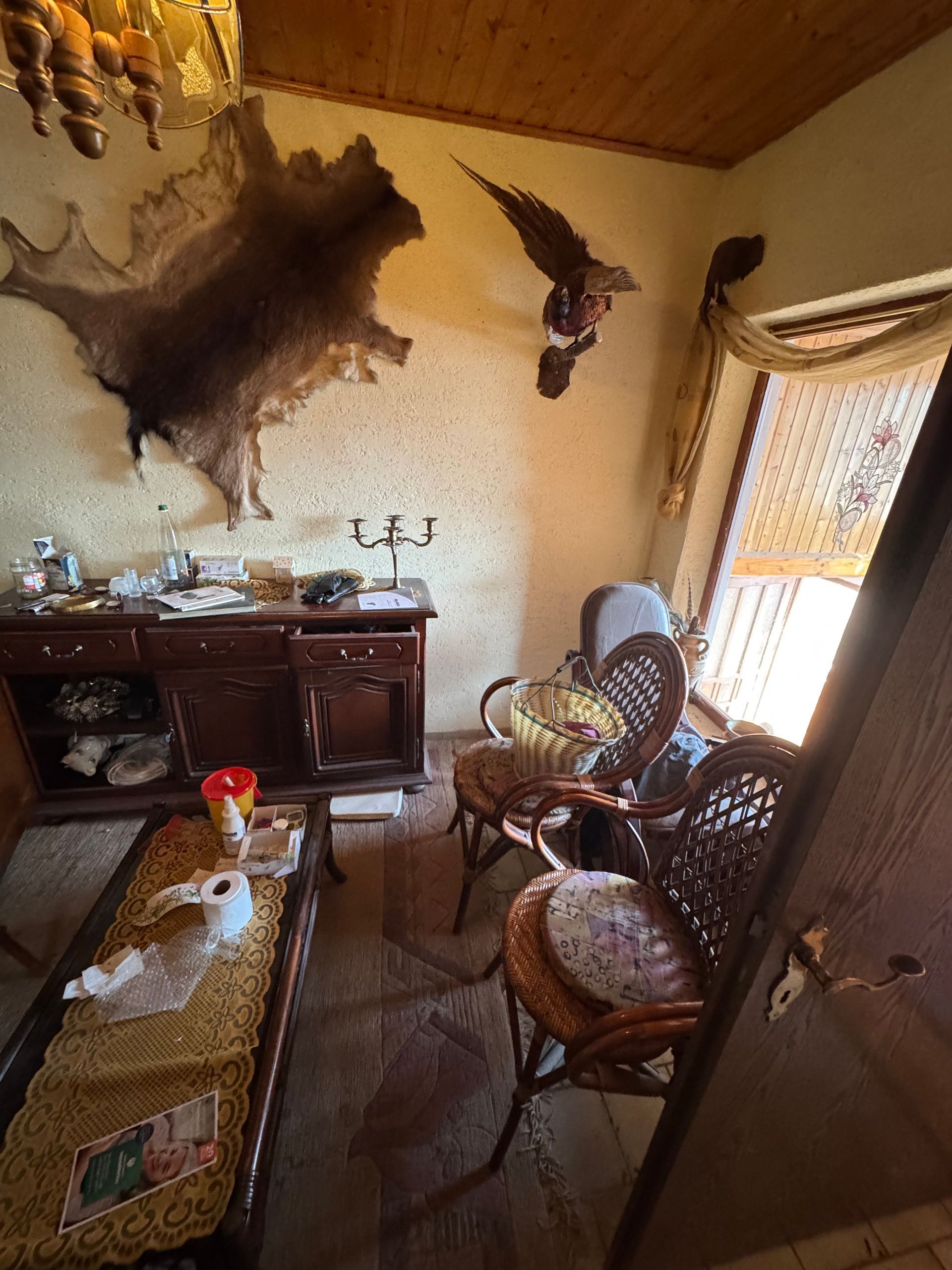 Ein schwach beleuchteter Raum mit antiken Möbeln, einem montierten Tierfell und einem ausgestopften Vogel.