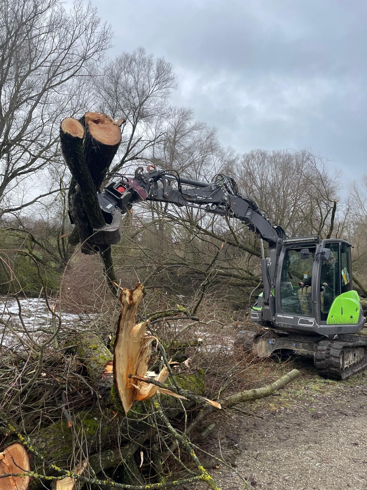Baum wird mithilfe eines Baggers gefällt, Franz Wirth & Sohn GbR