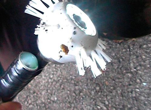 Une personne tient un pinceau qui ressemble à un poisson