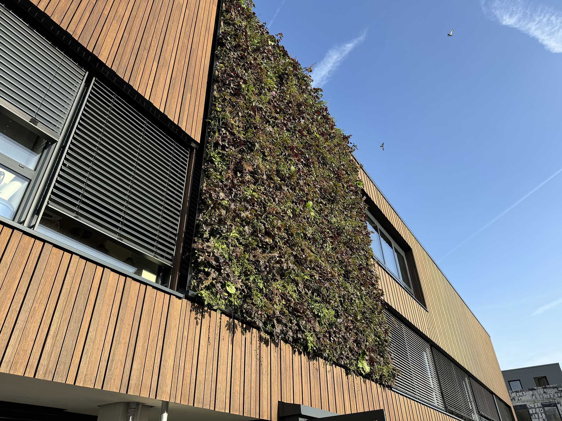 Schreinerwehr Holzfassade