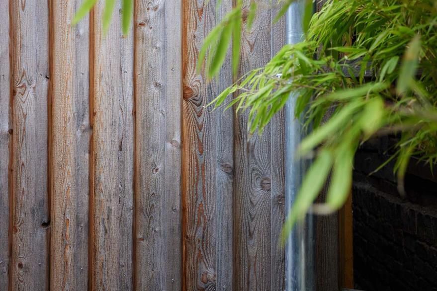 Eine Nahaufnahme eines Holzzauns mit einer Bambuspflanze im Hintergrund.