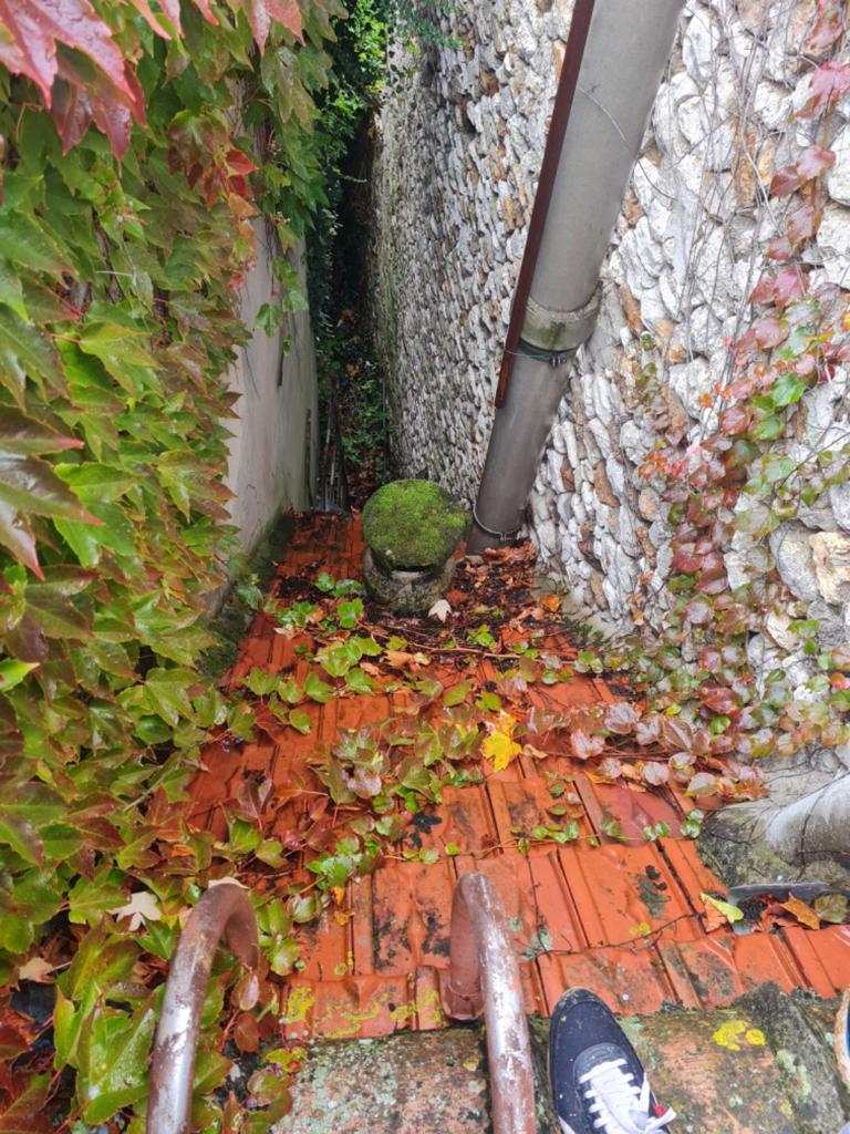 Petit toit à nettoyer et démousser