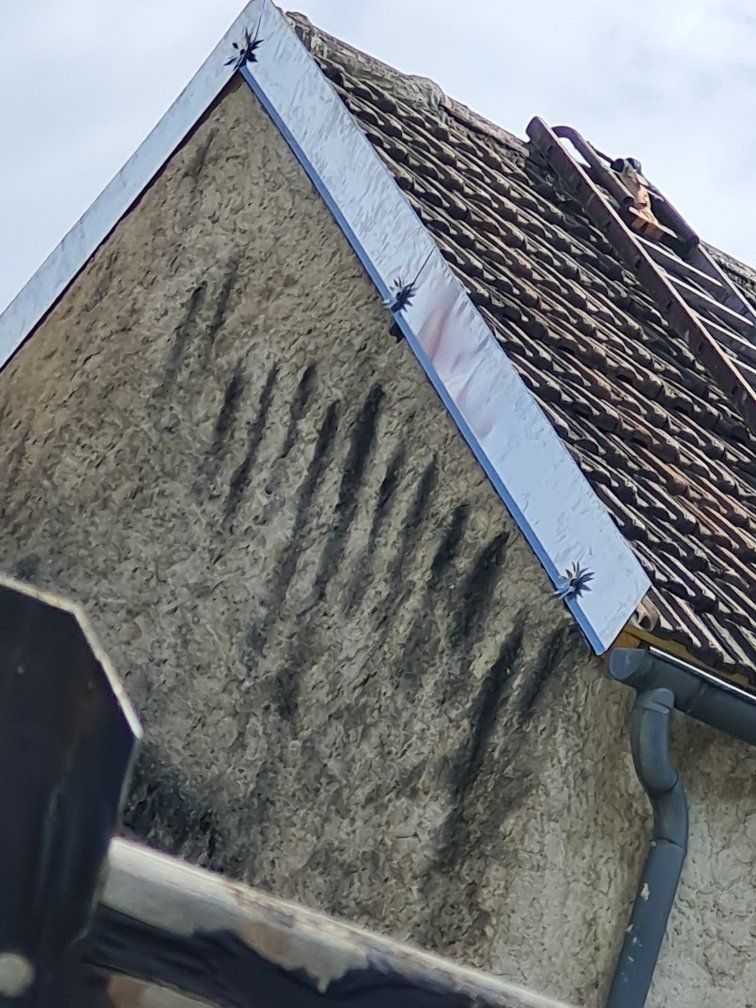 Vue éloignée de la décoration des rives de toit