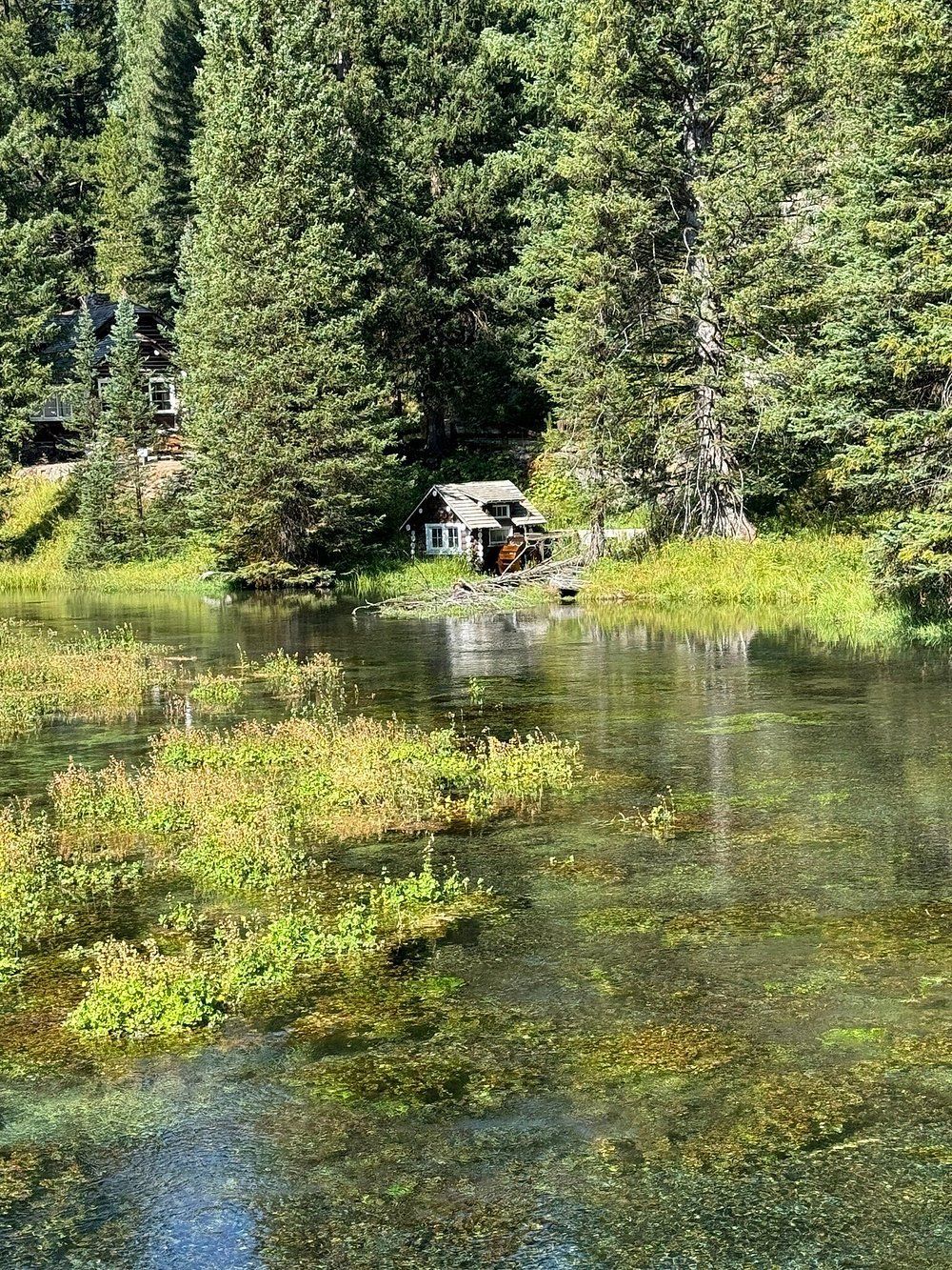 A mountain with trees in the foreground and a blue sky in the background