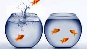 Lars Thoma Mentalcoaching - Koenigs-Gedanken