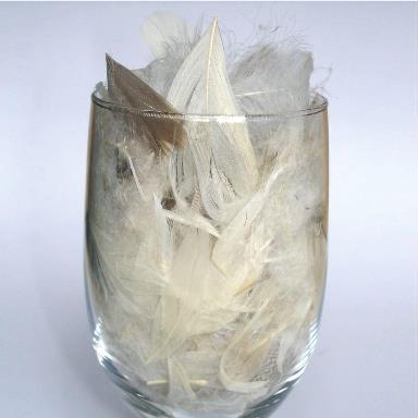 Fournitures promousse 4