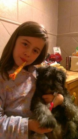 Una niña se cepilla los dientes con un cepillo de dientes mientras sostiene un perro pequeño.