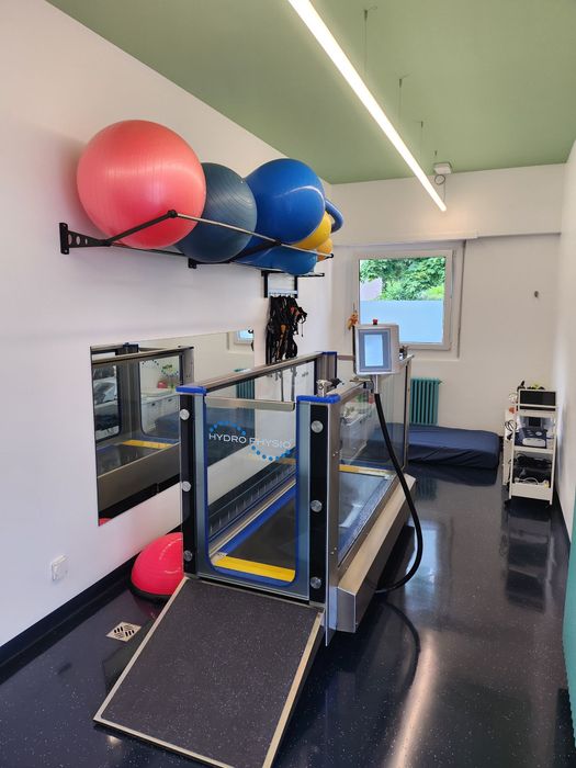 Physiothérapie pour animaux: chiens