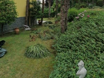 Manutenzione giardini