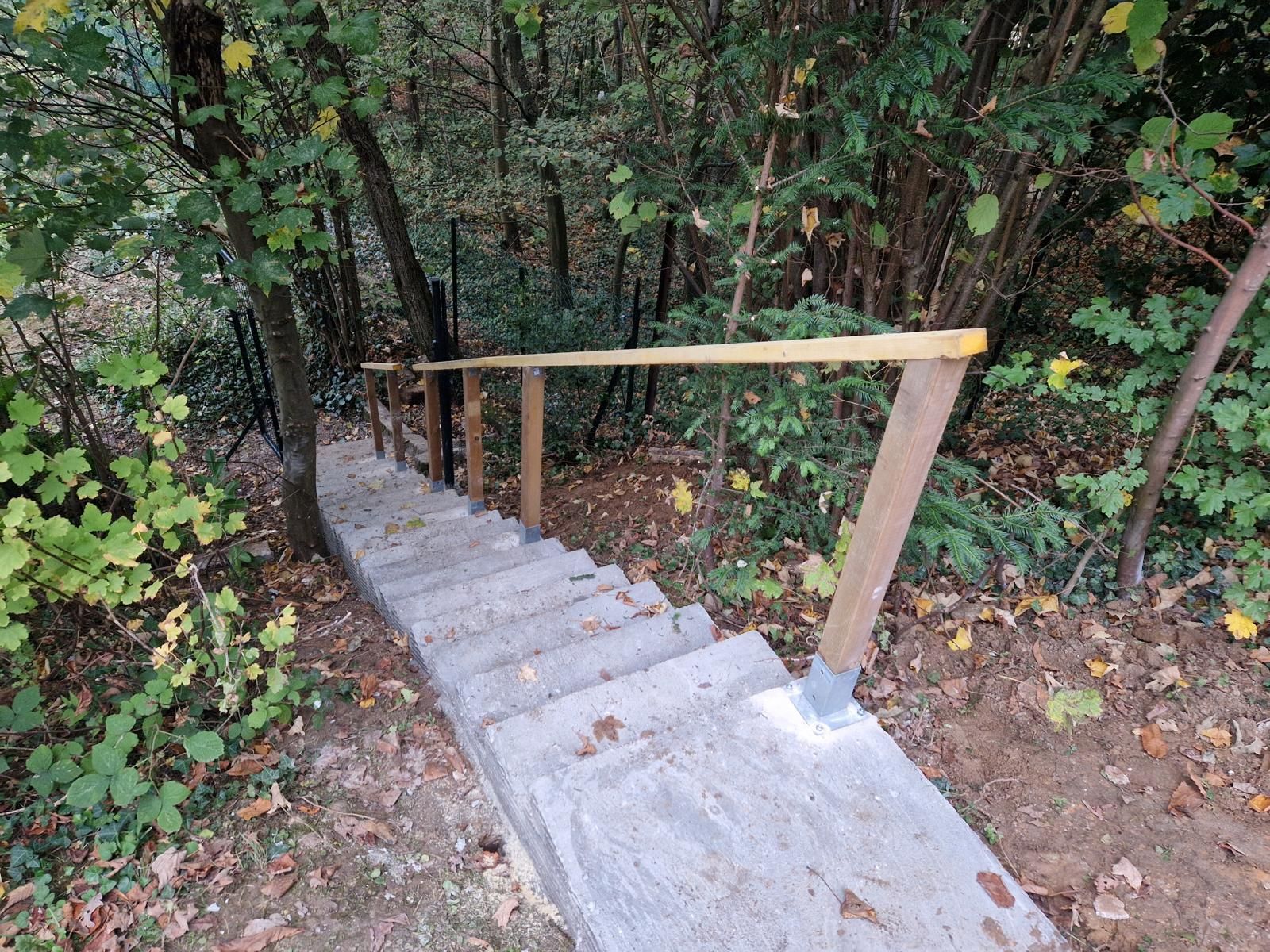 Des marches en béton descendent dans un bois dense, avec une simple rampe en bois.