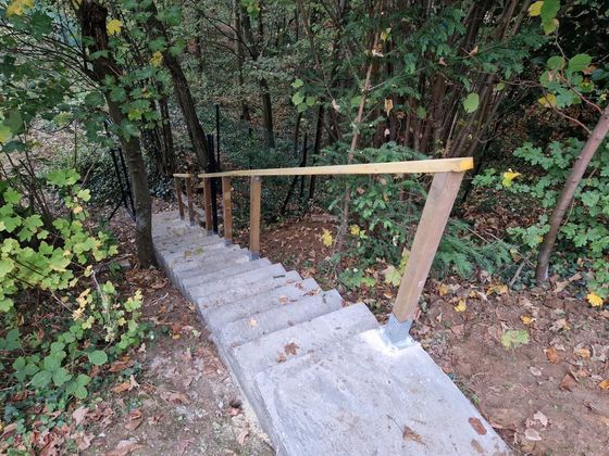 Escalier en béton descendant dans une zone boisée.