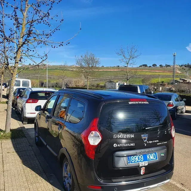 Un Dacia negro aparcado en la acera. Otros coches se alinean en la calle. Un día soleado con cielo azul.