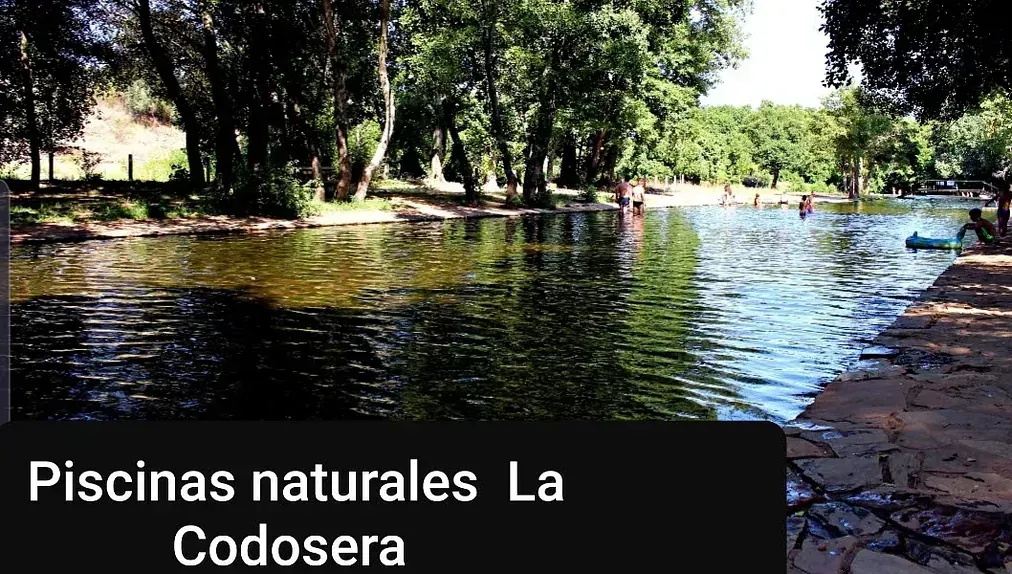 Piscinas naturales en La Codosera con gente en el agua y árboles al fondo.