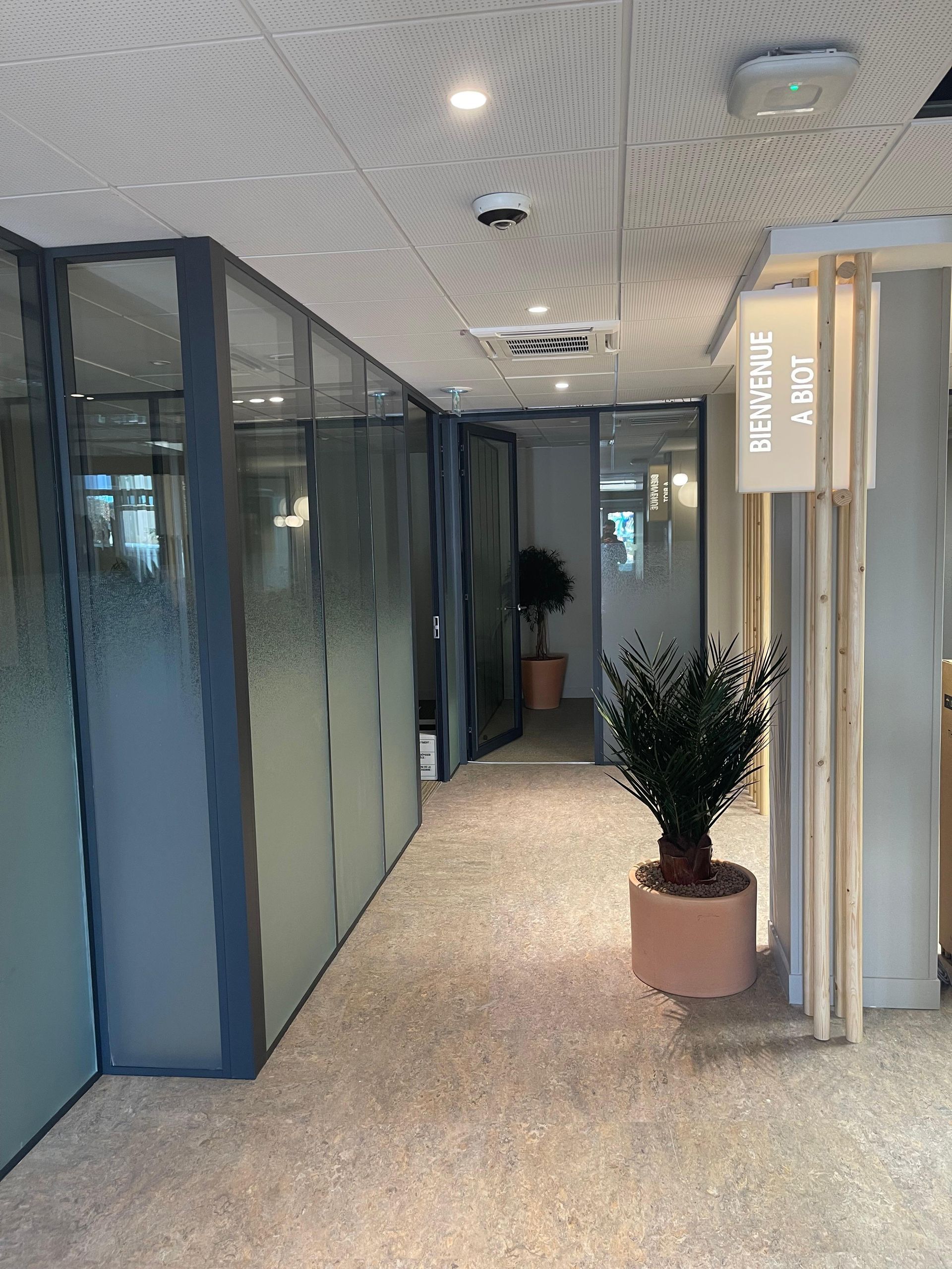 Un couloir bordé de bureaux aux parois vitrées. Une plante en pot est posée près d'une porte ouverte.