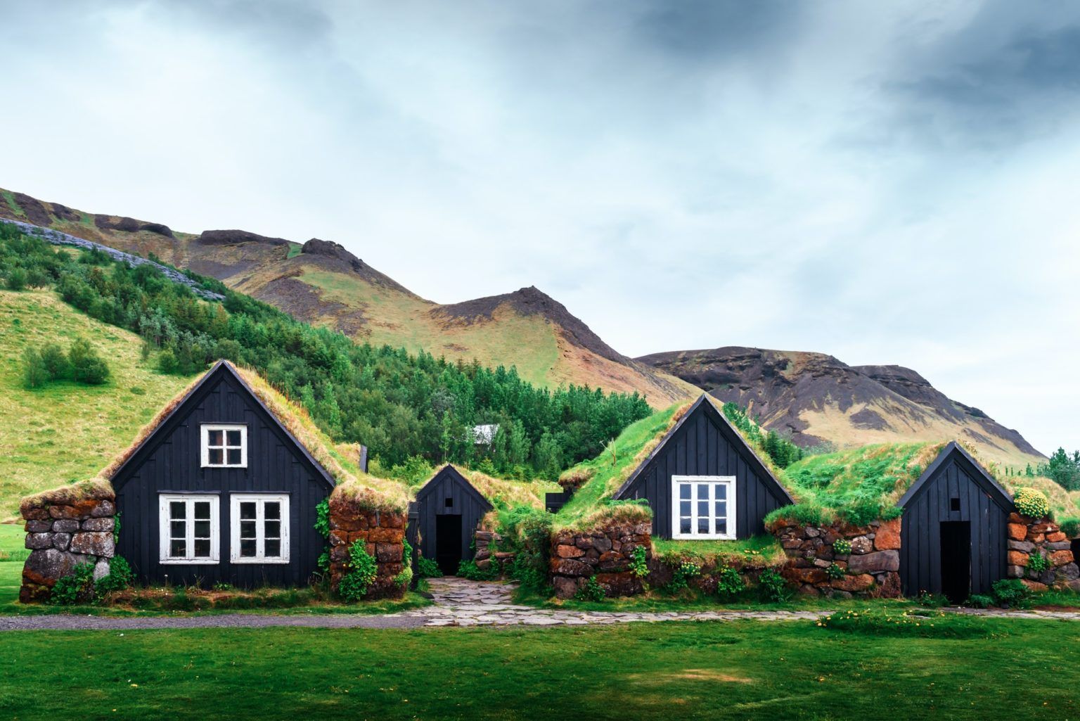 Une rangée de maisons noires avec de l'herbe sur les toits devant une montagne.