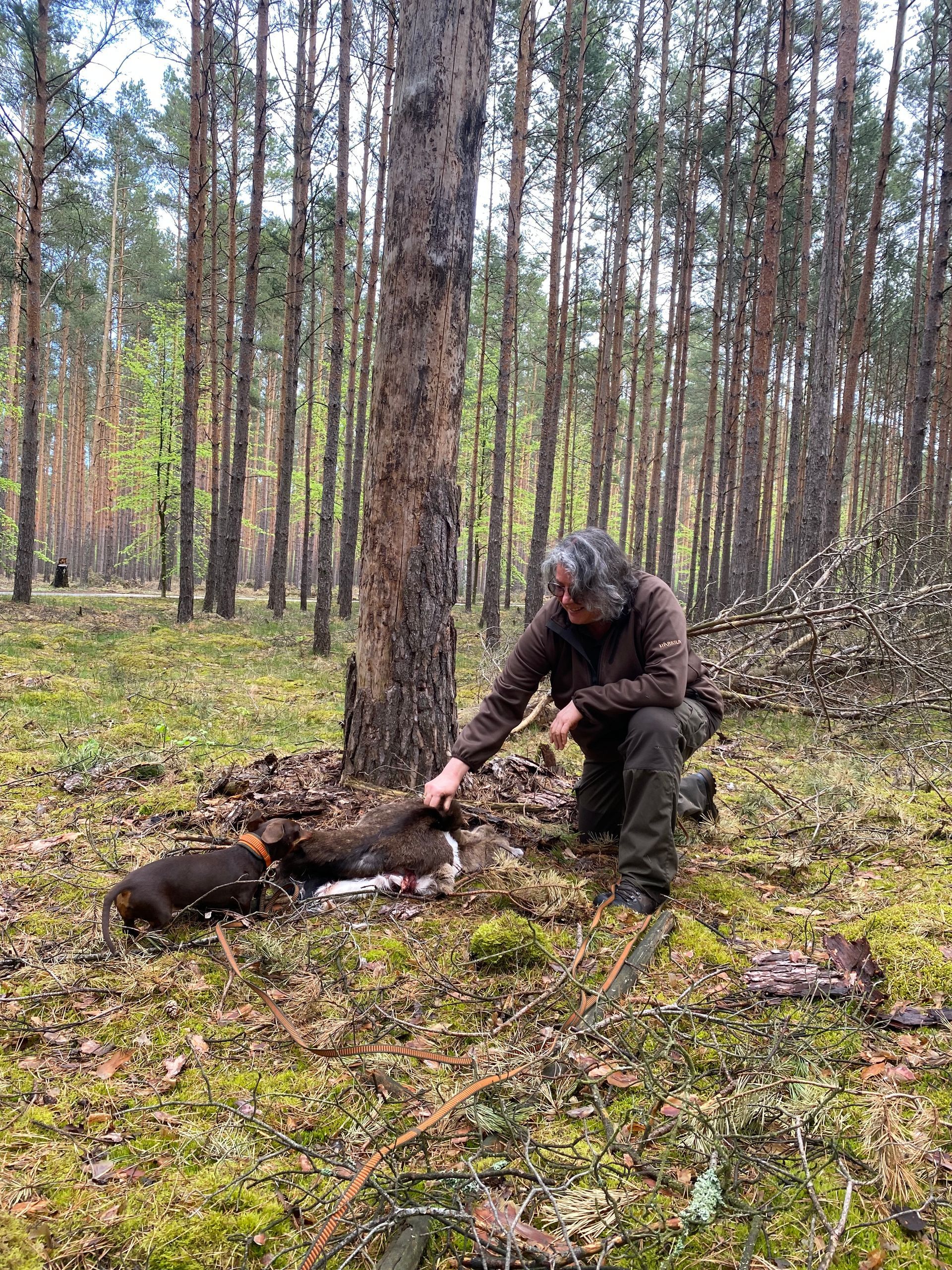 Eine Frau kniet mit einem Hund im Wald.