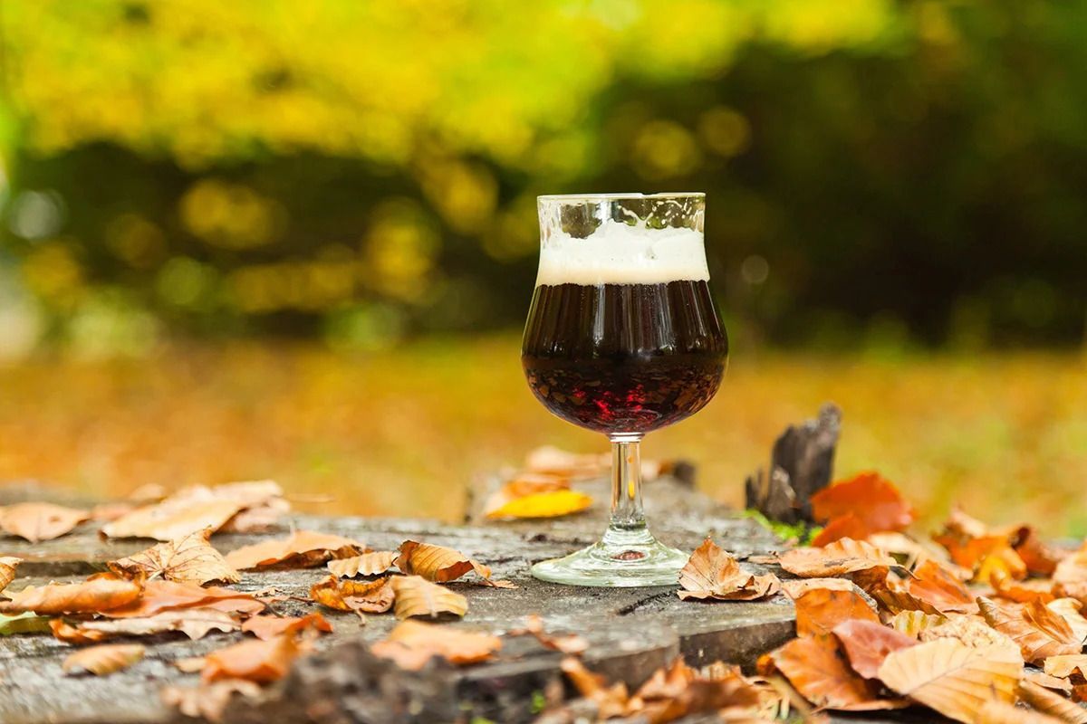 Een glas bier staat op een stronk omringd door bladeren.