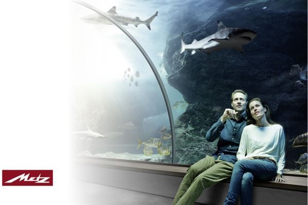 Ein Mann und eine Frau sitzen vor einem Aquarium und schauen sich Haie an.