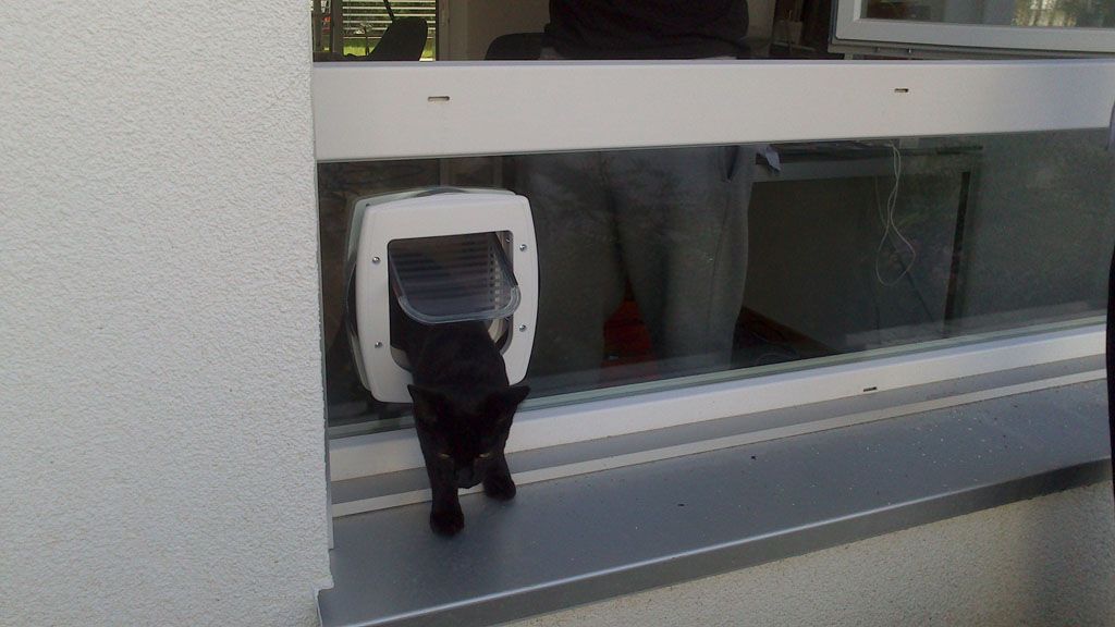 Katzentüren - Glasteam GnbH - Döttingen